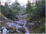 Uskovnica (Razpotje) - Planina pod Mišelj vrhom